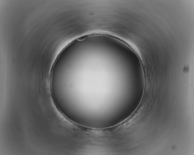 X0000090970911200708161833