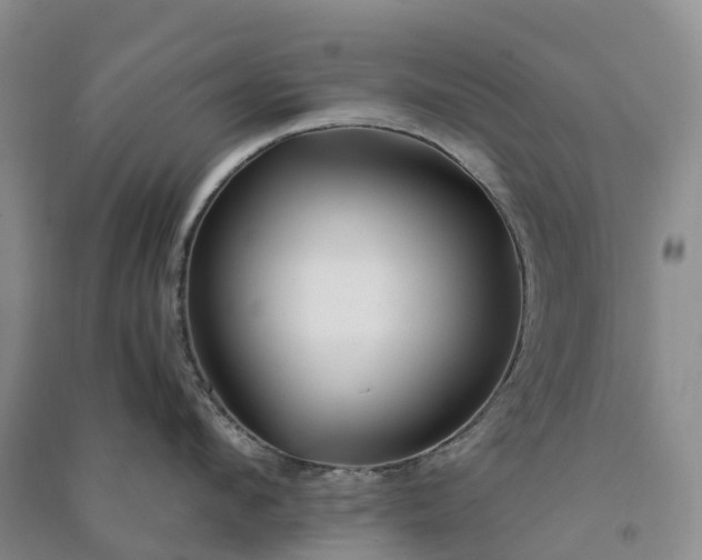 X0000090970912200708161833