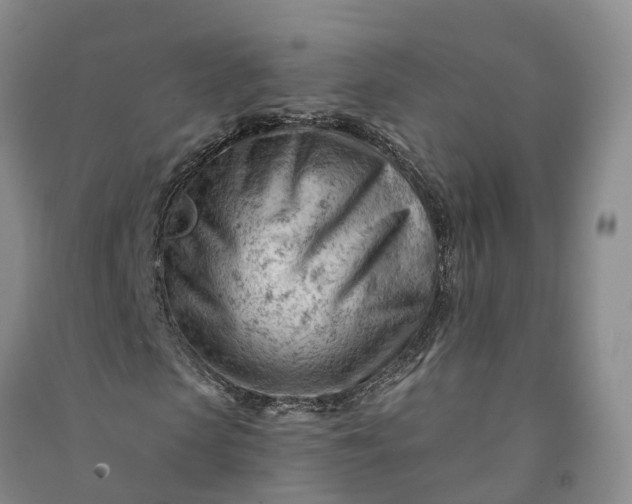 X0000090970913200708161833