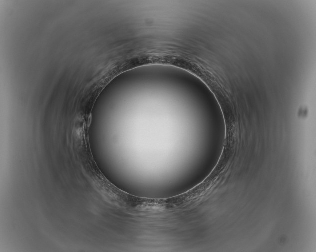 X0000090970914200708161833