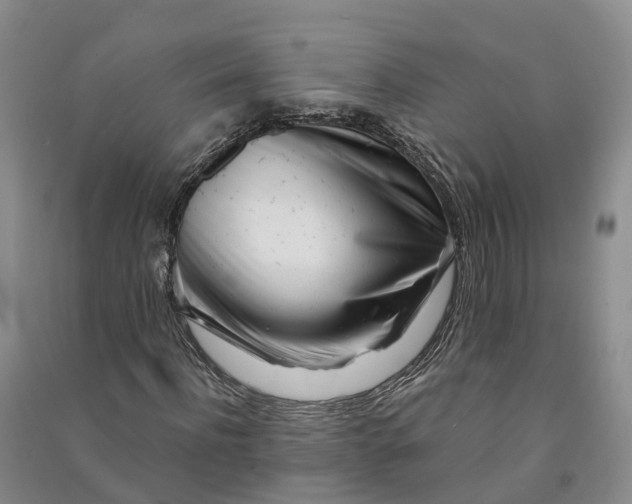 X0000090970916200708161833