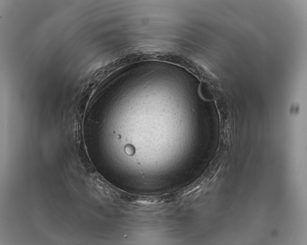 X0000090970917200708161833