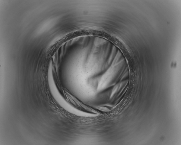 X0000090970919200708161833