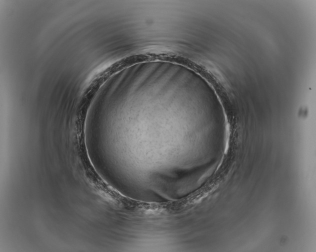 X0000090970920200708161833