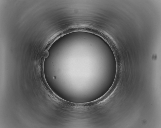 X0000090970921200708161833