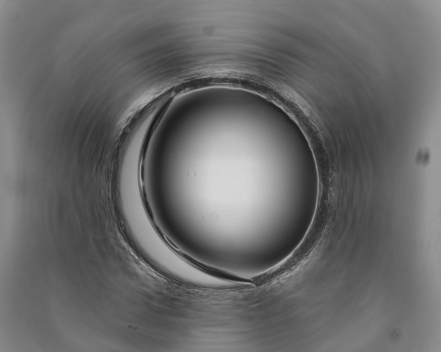 X0000090970922200708161833