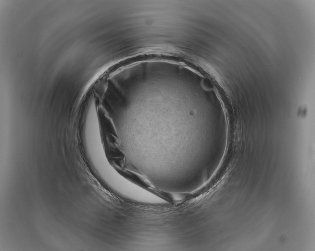 X0000090970923200708161833