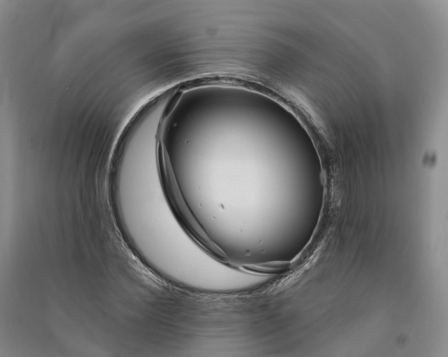 X0000090970924200708161833