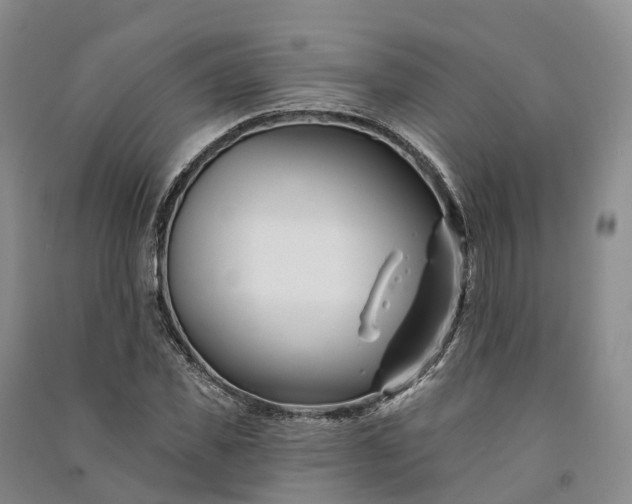 X0000090970925200708161833