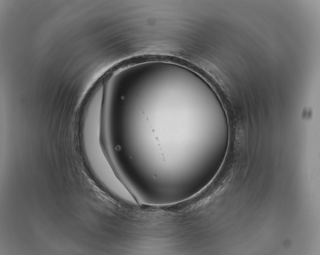 X0000090970926200708161833