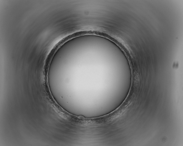 X0000090970927200708161833