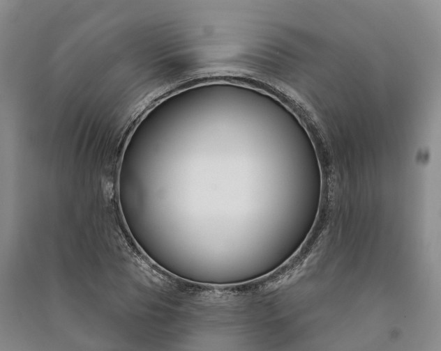 X0000090970929200708161833