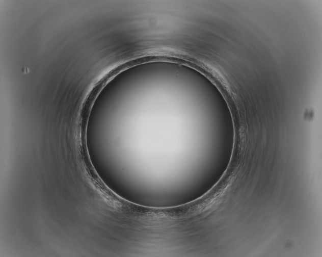 X0000090970931200708161833