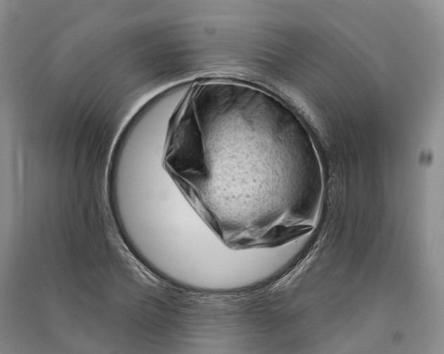 X0000090970932200708161833