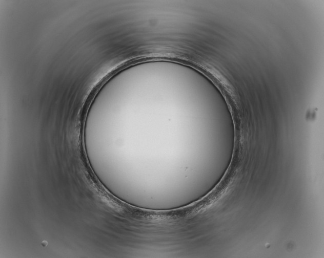 X0000090970933200708161833