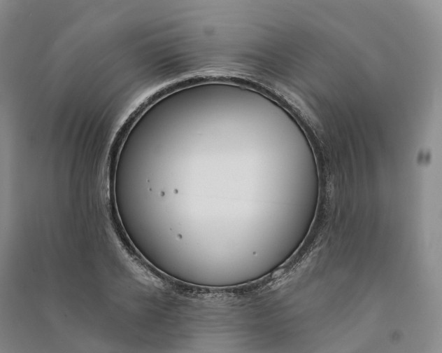 X0000090970934200708161833