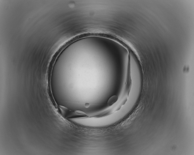 X0000090970935200708161833