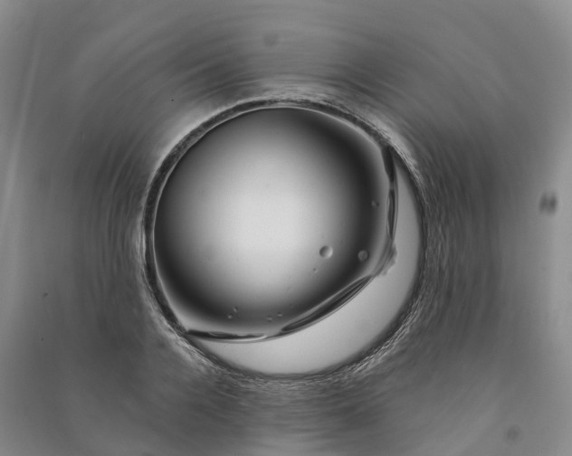 X0000090970936200708161833