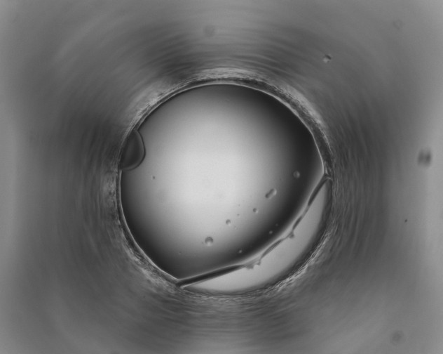 X0000090970937200708161833