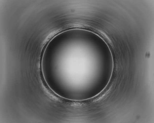 X0000090970938200708161833