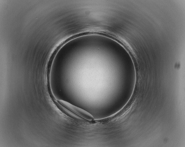 X0000090970939200708161833