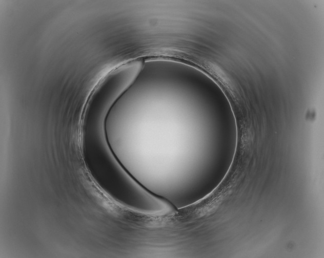 X0000090970940200708161833