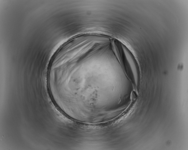 X0000090970941200708161833