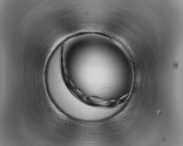 X0000090970942200708161833