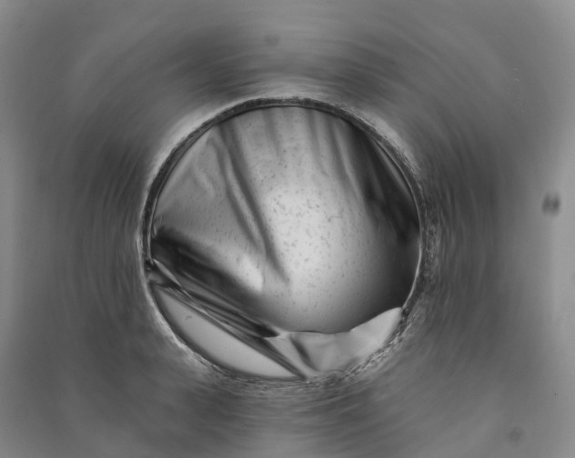 X0000090970943200708161833