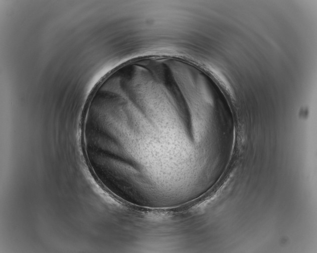 X0000090970944200708161833