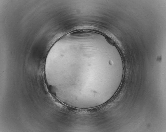 X0000090970945200708161833