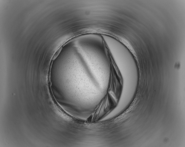 X0000090970946200708161833