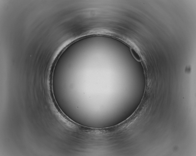 X0000090970947200708161833