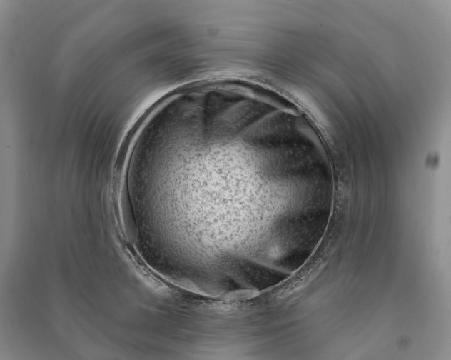 X0000090970948200708161833