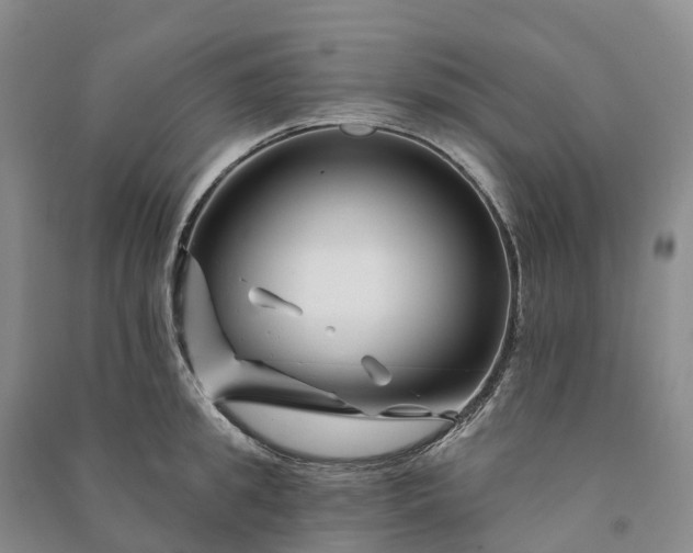 X0000090970949200708161833