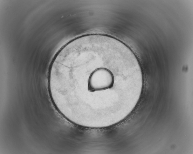 X0000090970950200708161833