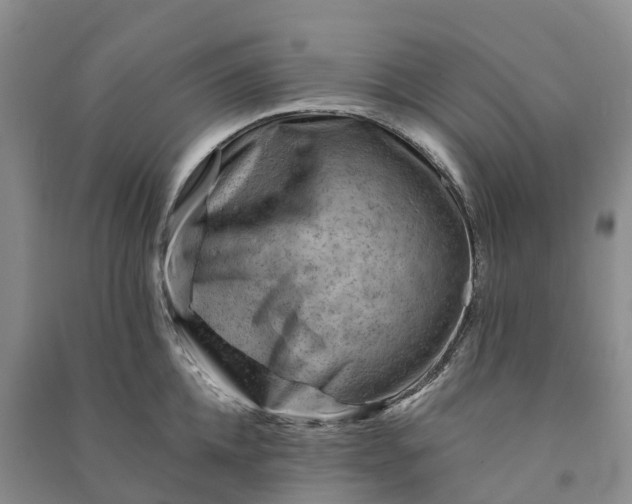 X0000090970952200708161833