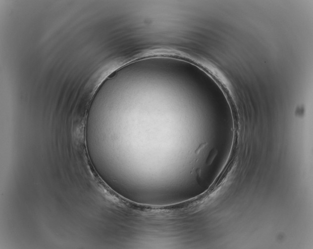 X0000090970953200708161833