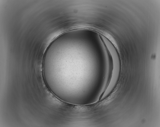 X0000090970954200708161833