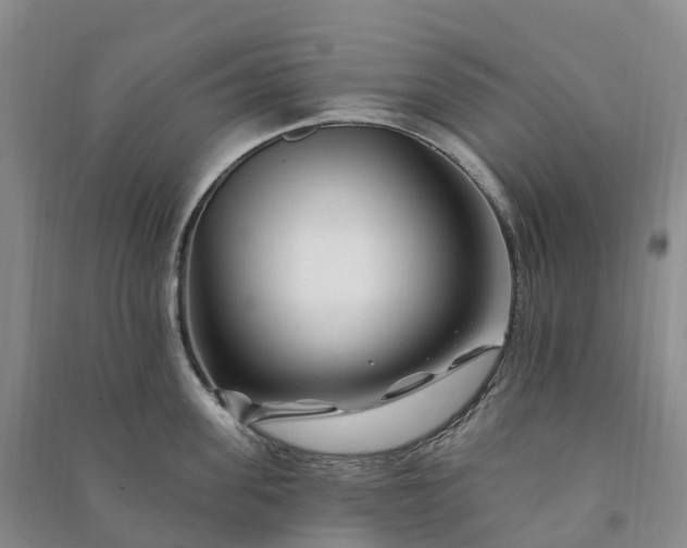 X0000090970955200708161833