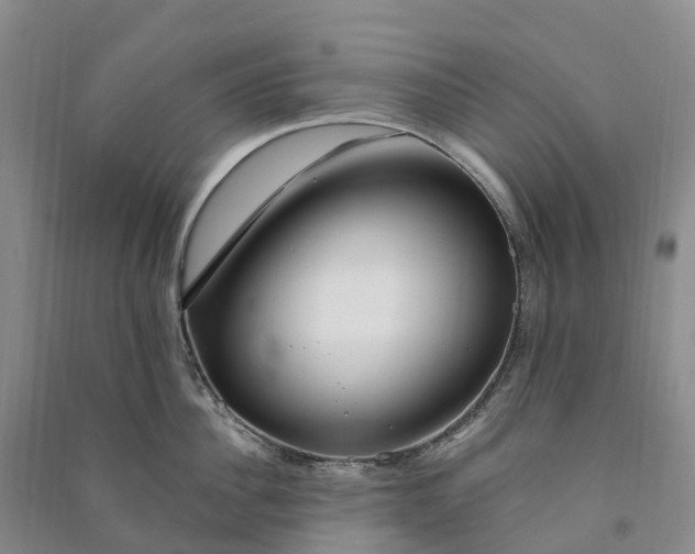 X0000090970956200708161833