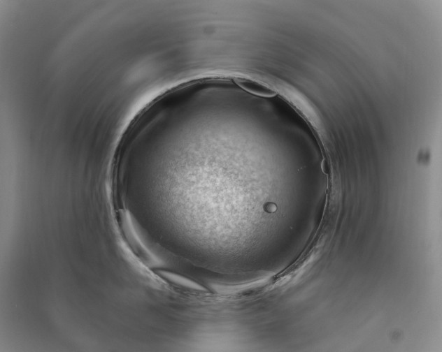 X0000090970958200708161833