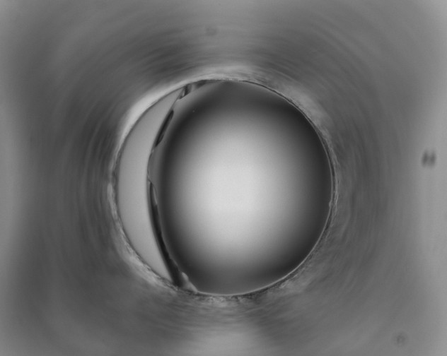 X0000090970960200708161833