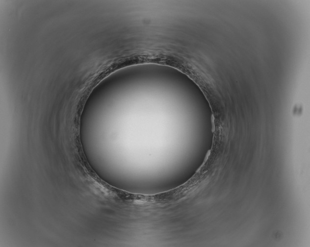 X0000090970961200708161832