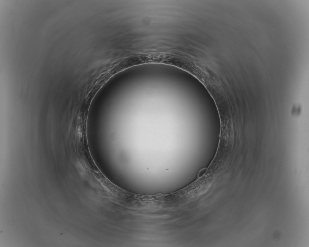 X0000090970962200708161832