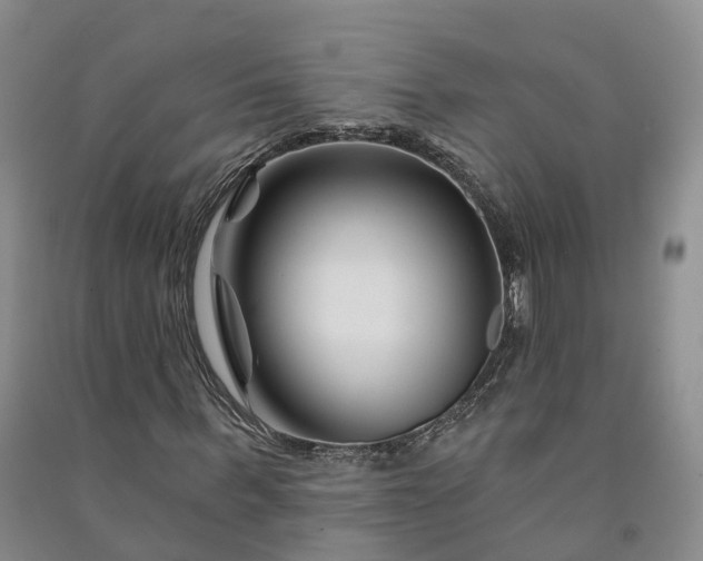 X0000090970963200708161832