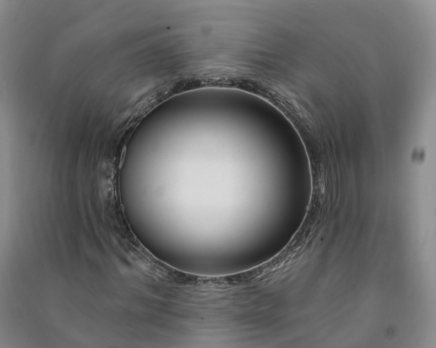 X0000090970964200708161832