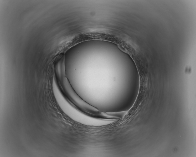 X0000090970965200708161832