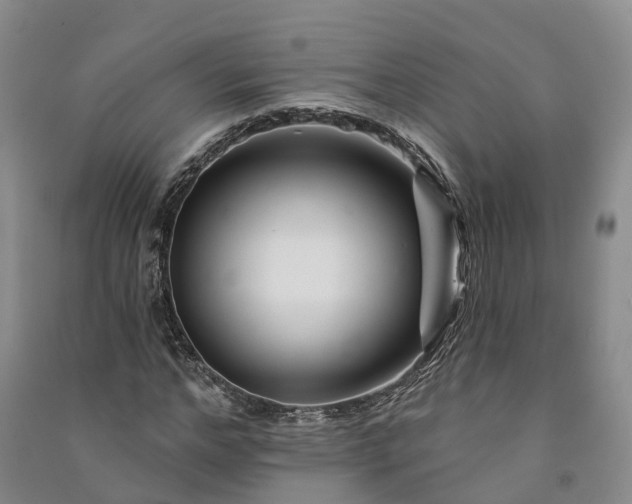 X0000090970968200708161832