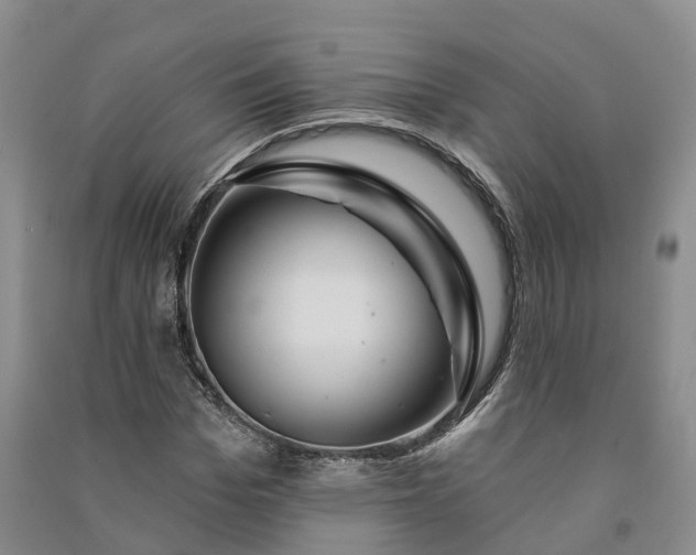 X0000090970969200708161832